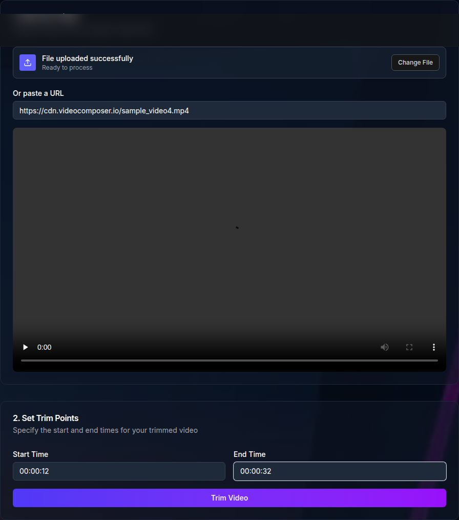 MP4 cutter tool filled with a sample URL and timestamps